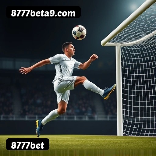 Níveis do programa VIP da 8777bet